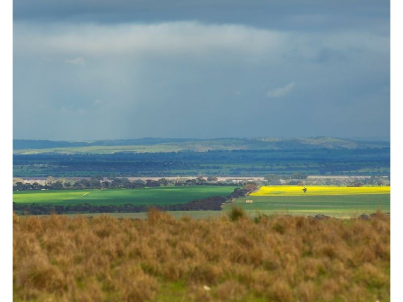 Sec 255 Chaunceys Line  Rd, Hartley SA 5255