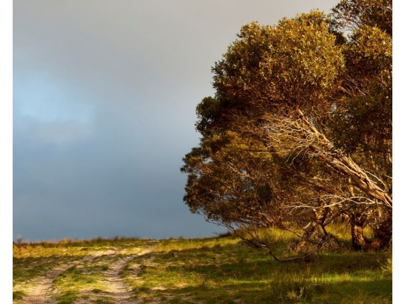 Sec 255 Chaunceys Line  Rd, Hartley SA 5255