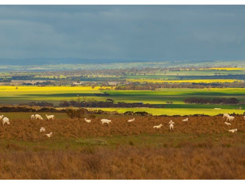 Sec 255 Chaunceys Line  Rd, Hartley SA 5255