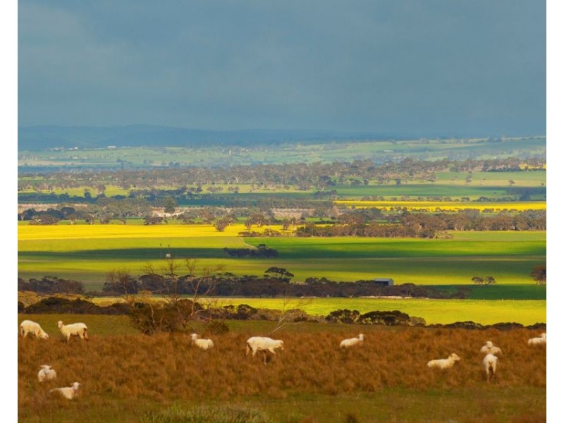 Sec 255 Chaunceys Line  Rd, Hartley SA 5255