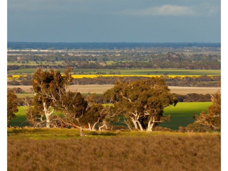 Sec 255 Chaunceys Line  Rd, Hartley SA 5255