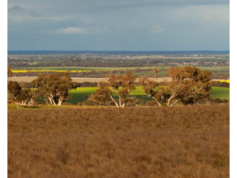 Sec 259 Harvey Rd, Hartley SA 5255