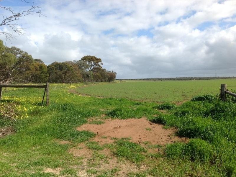 Lot 104 Thomas Crescent, Monarto South SA 5254