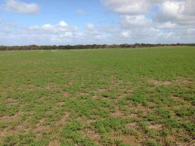 Lot 104 Thomas Crescent, Monarto South SA 5254