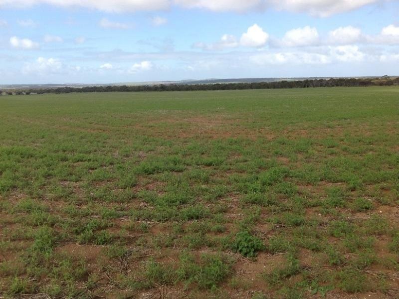 Lot 104 Thomas Crescent, Monarto South SA 5254