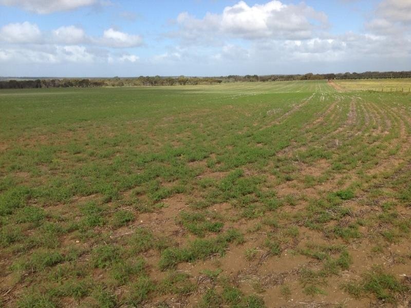 Lot 104 Thomas Crescent, Monarto South SA 5254