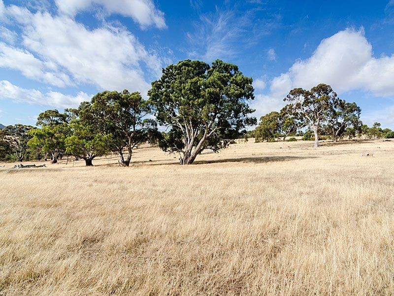 50 Pastoral Road, Dawesley SA 5252