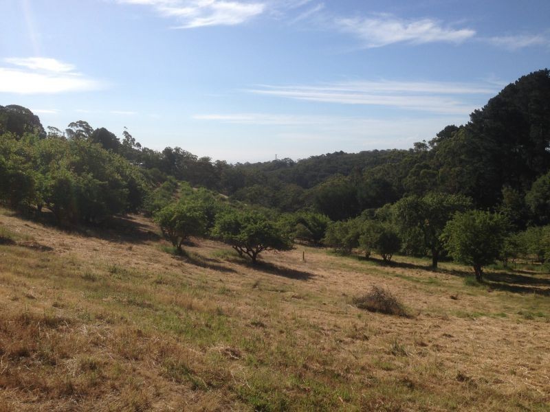 Lot 29 Hill Street, Crafers West SA 5152