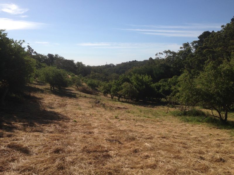 Lot 29 Hill Street, Crafers West SA 5152