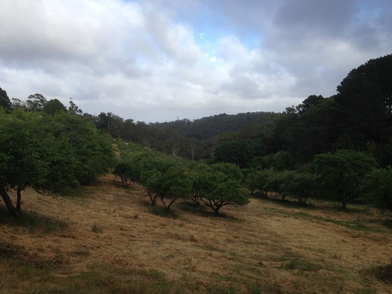 Lot 29 Hill Street, Crafers West SA 5152