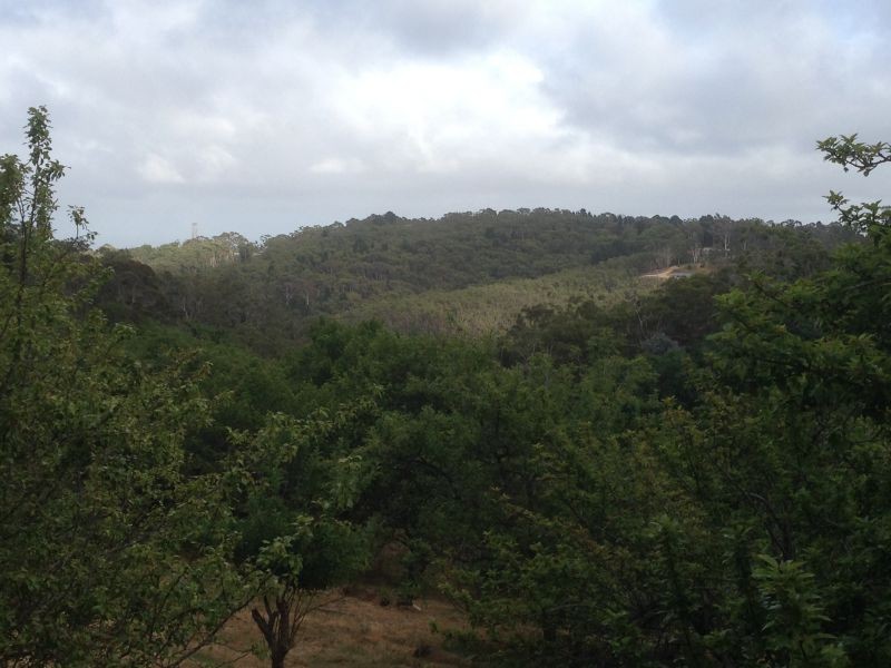 Lot 29 Hill Street, Crafers West SA 5152