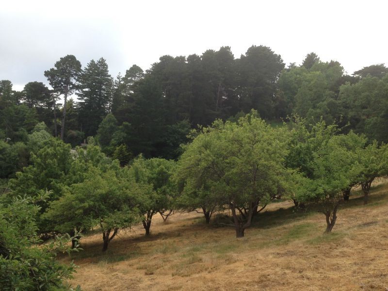 Lot 29 Hill Street, Crafers West SA 5152