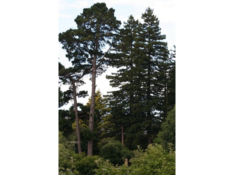 Lot 29 Hill Street, Crafers West SA 5152