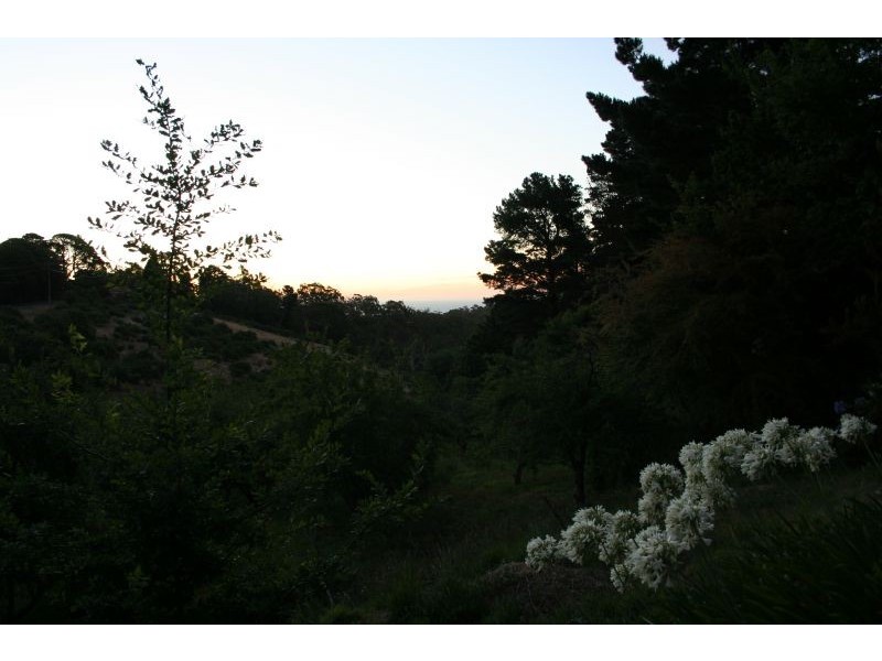 Lot 29 Hill Street, Crafers West SA 5152