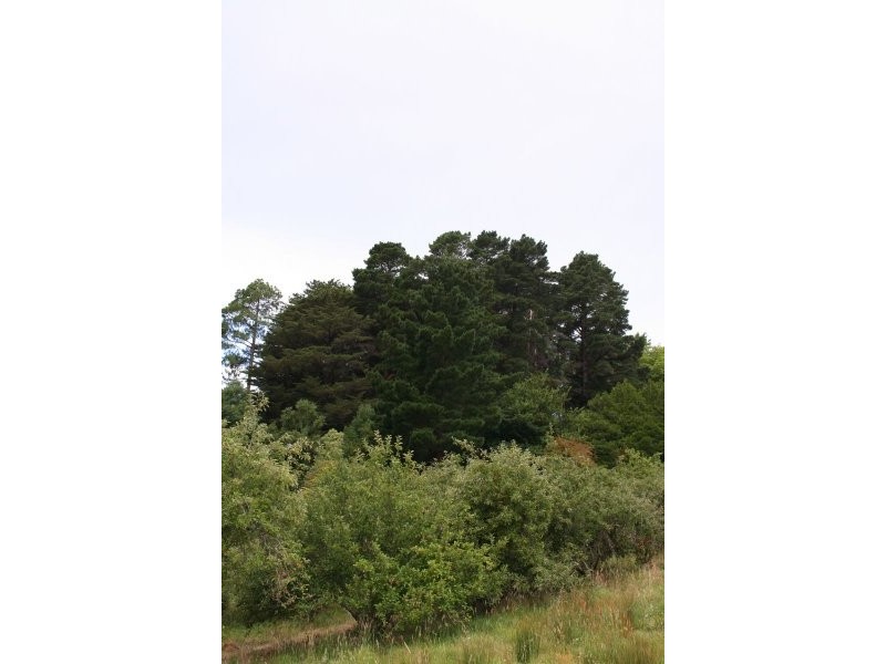 Lot 29 Hill Street, Crafers West SA 5152