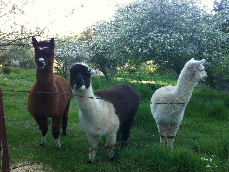 Lot 29 Hill Street, Crafers West SA 5152