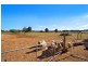 5 Garden Avenue, Two Wells SA 5501