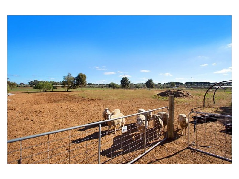 5 Garden Avenue, Two Wells SA 5501