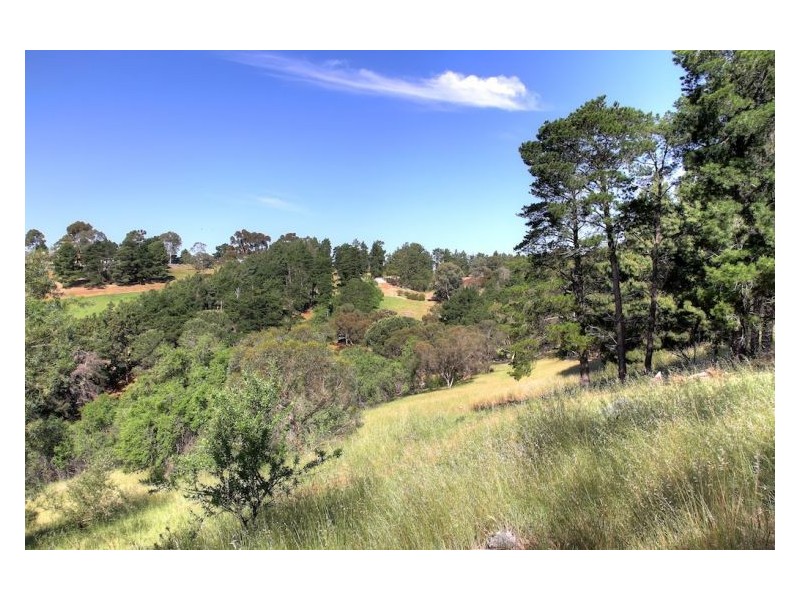 43 Walters Road, One Tree Hill SA 5114
