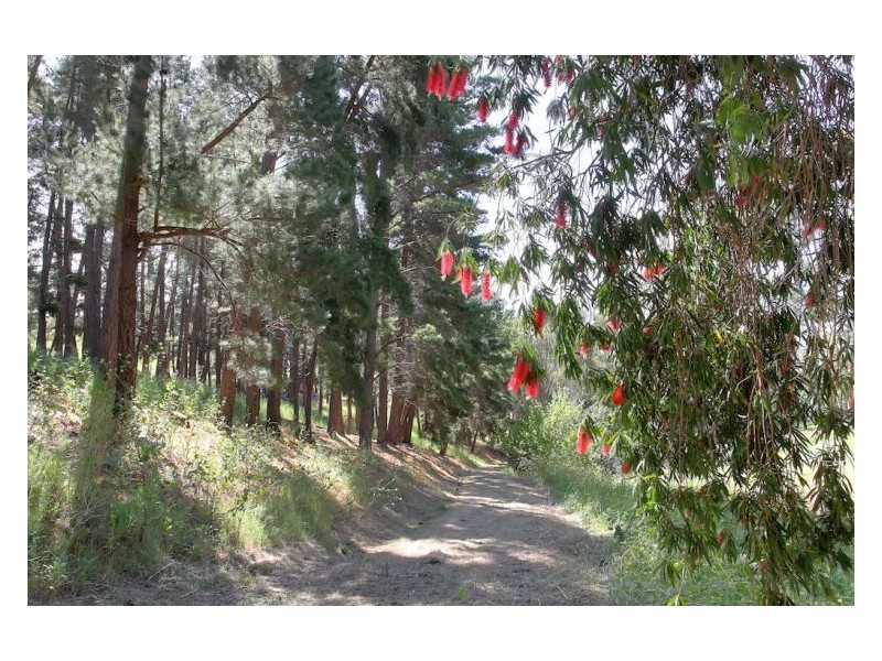 43 Walters Road, One Tree Hill SA 5114