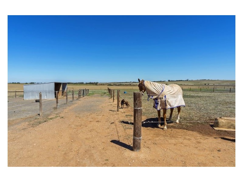 Lot 700 Ronan Road, Hamley Bridge SA 5401