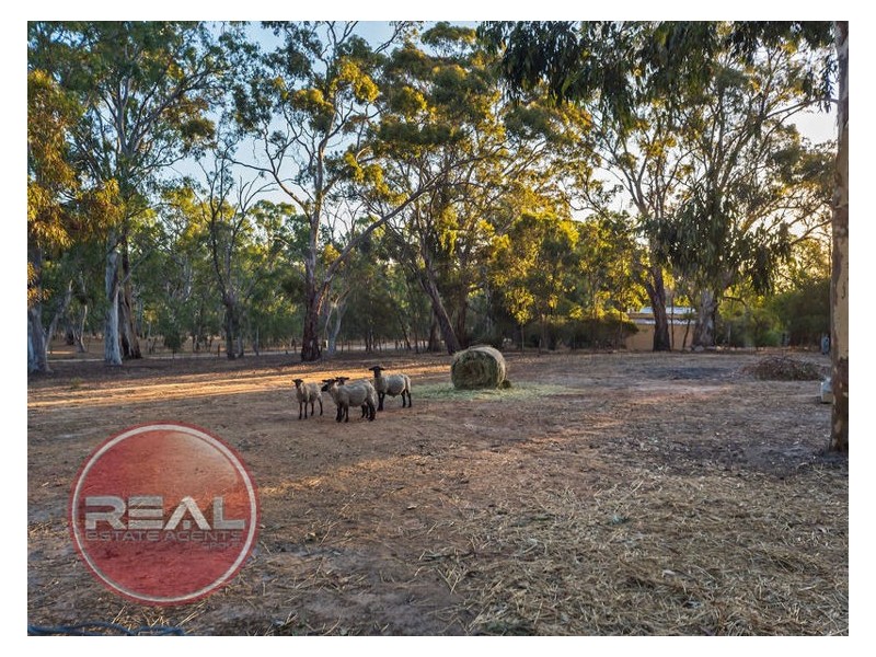 81 Gottwald Road, Williamstown SA 5351