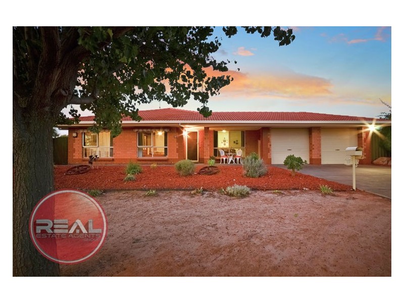 17 Williams Street, Evanston Park SA 5116