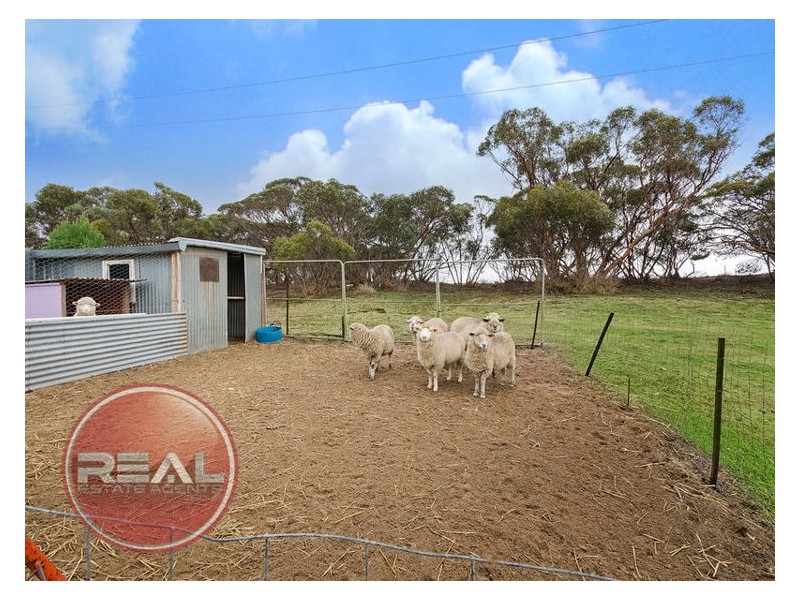 2259 Mannum Road, Murray Bridge SA 5253