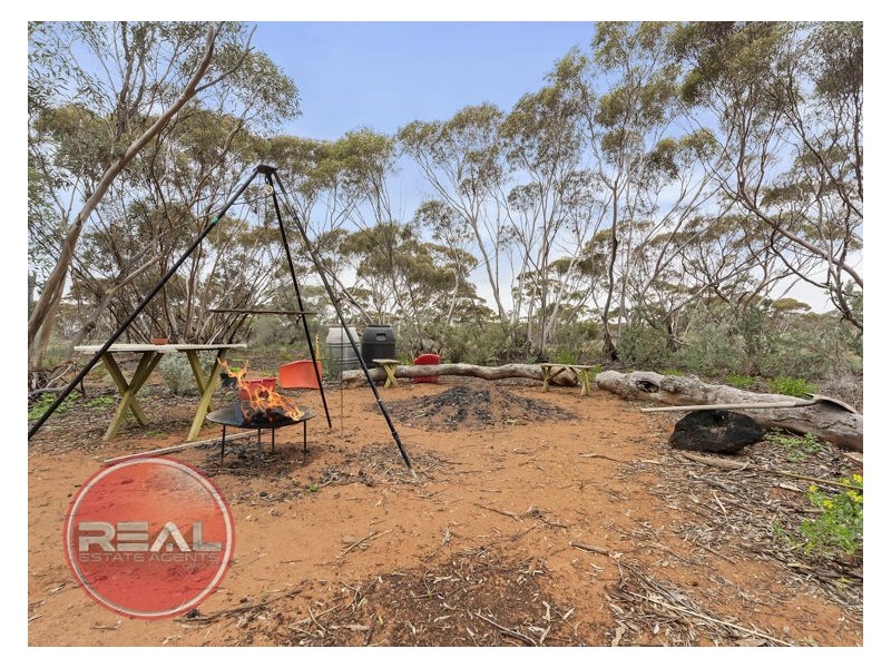 58 Richards Road, Cadell SA 5321