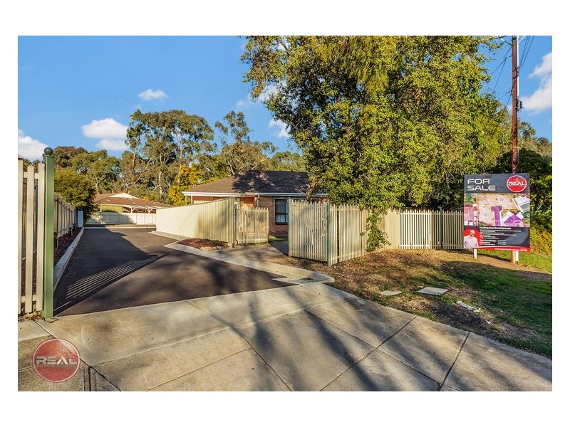 3 Harrison Avenue, Modbury SA 5092