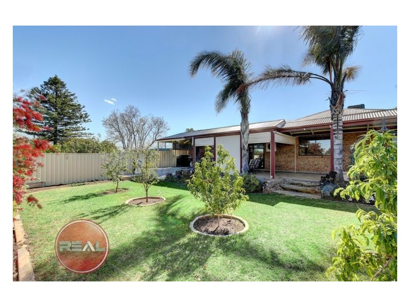 14 Walker Avenue, Mannum SA 5238