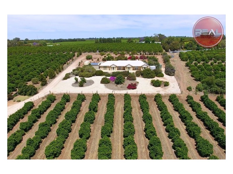 359 Ramco Road, Waikerie SA 5330