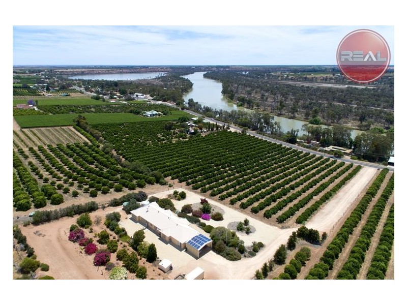 359 Ramco Road, Waikerie SA 5330