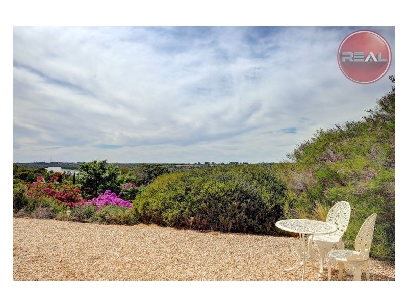 359 Ramco Road, Waikerie SA 5330