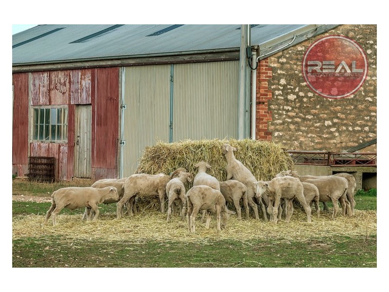 812 Point Riley Road, Wallaroo SA 5556