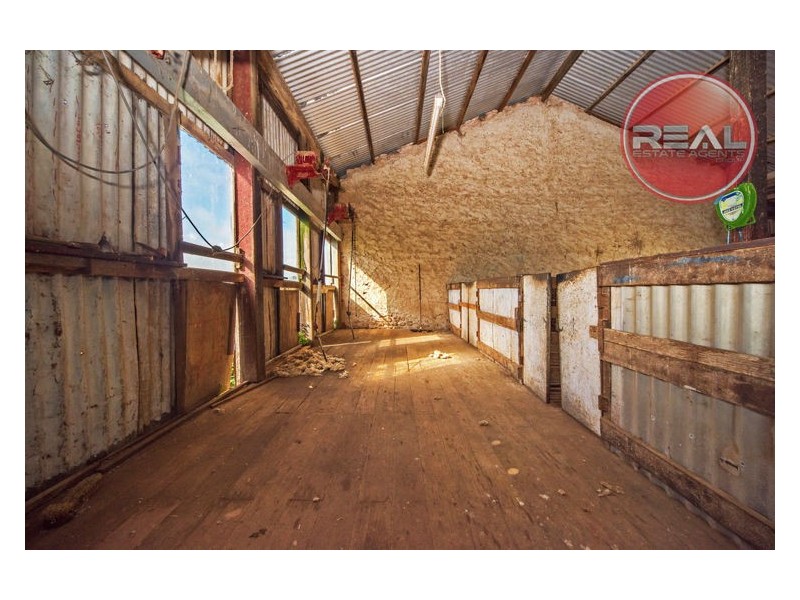 812 Point Riley Road, Wallaroo SA 5556