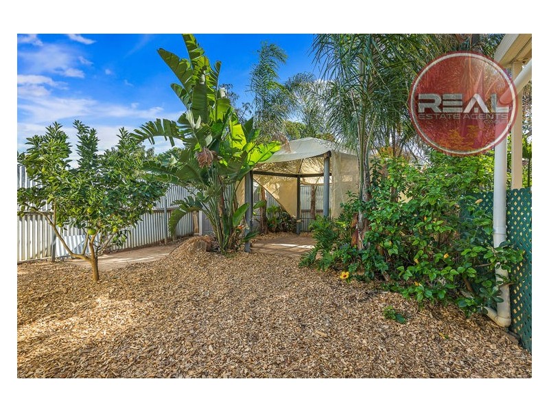 3 Panto Avenue, Paralowie SA 5108