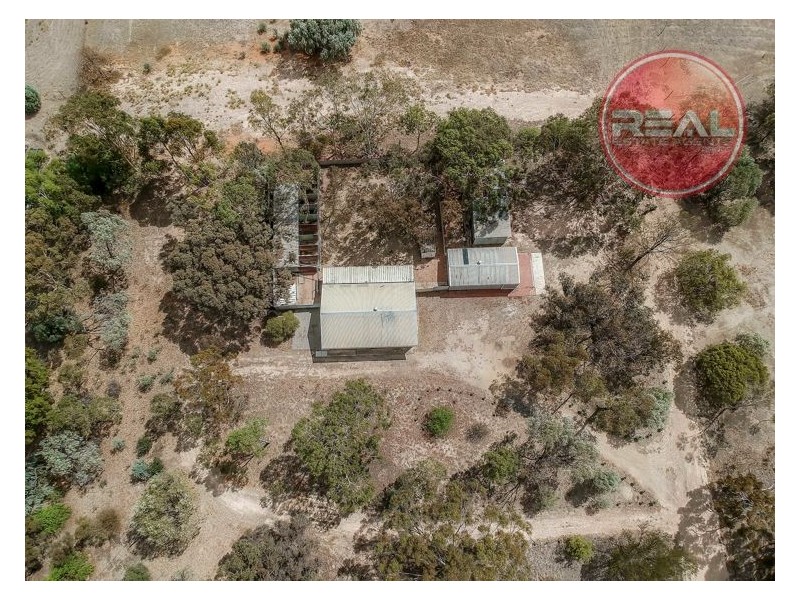 5 Peppermint Road, Lewiston SA 5501