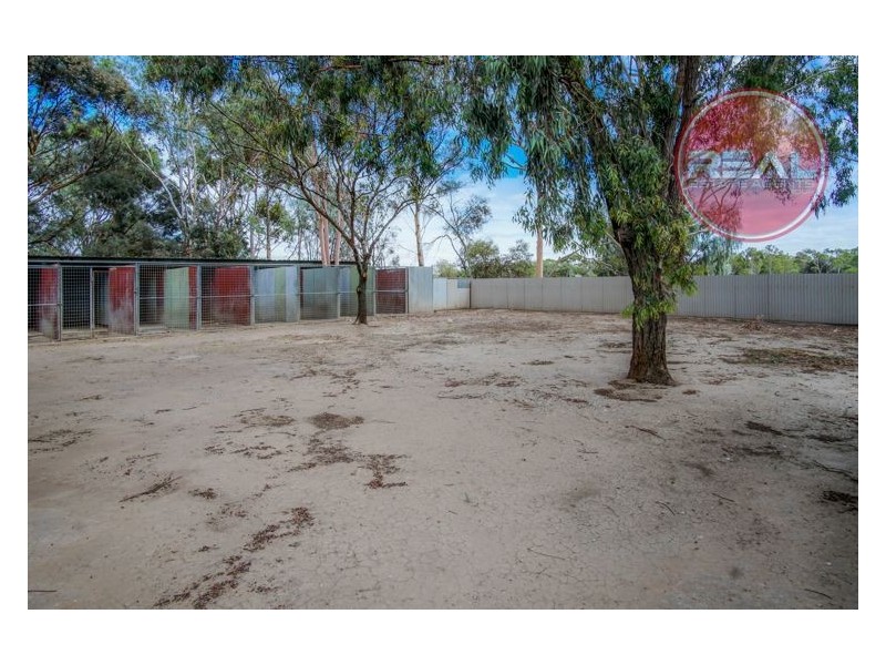 5 Peppermint Road, Lewiston SA 5501