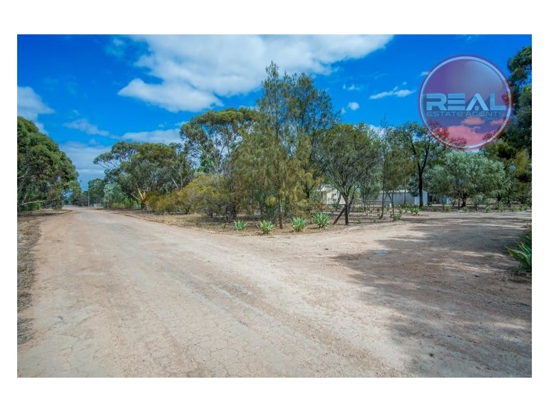 5 Peppermint Road, Lewiston SA 5501