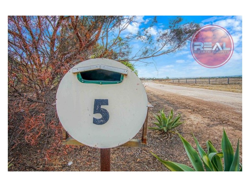 5 Peppermint Road, Lewiston SA 5501