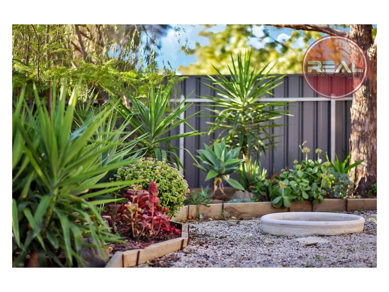 37 Elgin Avenue, Evanston SA 5116