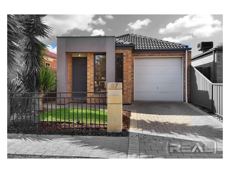 37 Riesling Crescent, Andrews Farm SA 5114