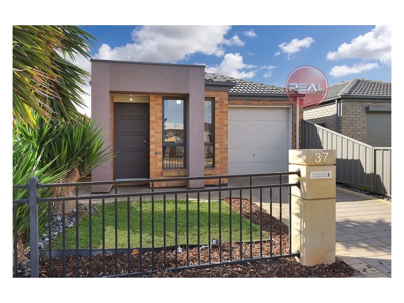 37 Riesling Crescent, Andrews Farm SA 5114