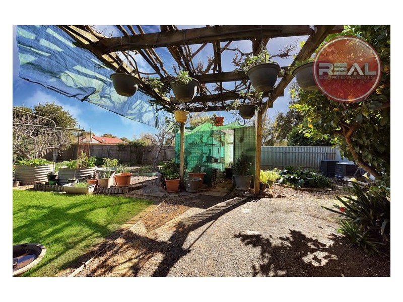 3 Nottle Street, Elizabeth Downs SA 5113