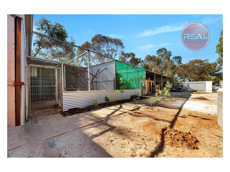 51 Ormsby Road, Kudla SA 5115
