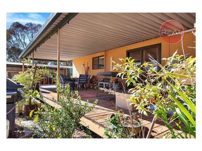 51 Ormsby Road, Kudla SA 5115