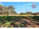 51 Ormsby Road, Kudla SA 5115