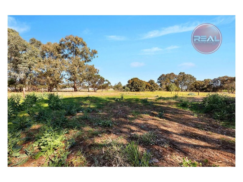 51 Ormsby Road, Kudla SA 5115