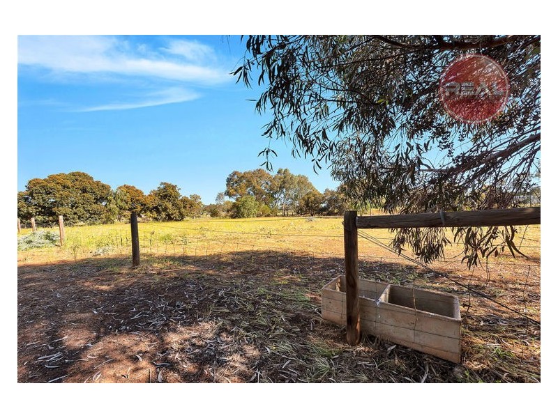 51 Ormsby Road, Kudla SA 5115